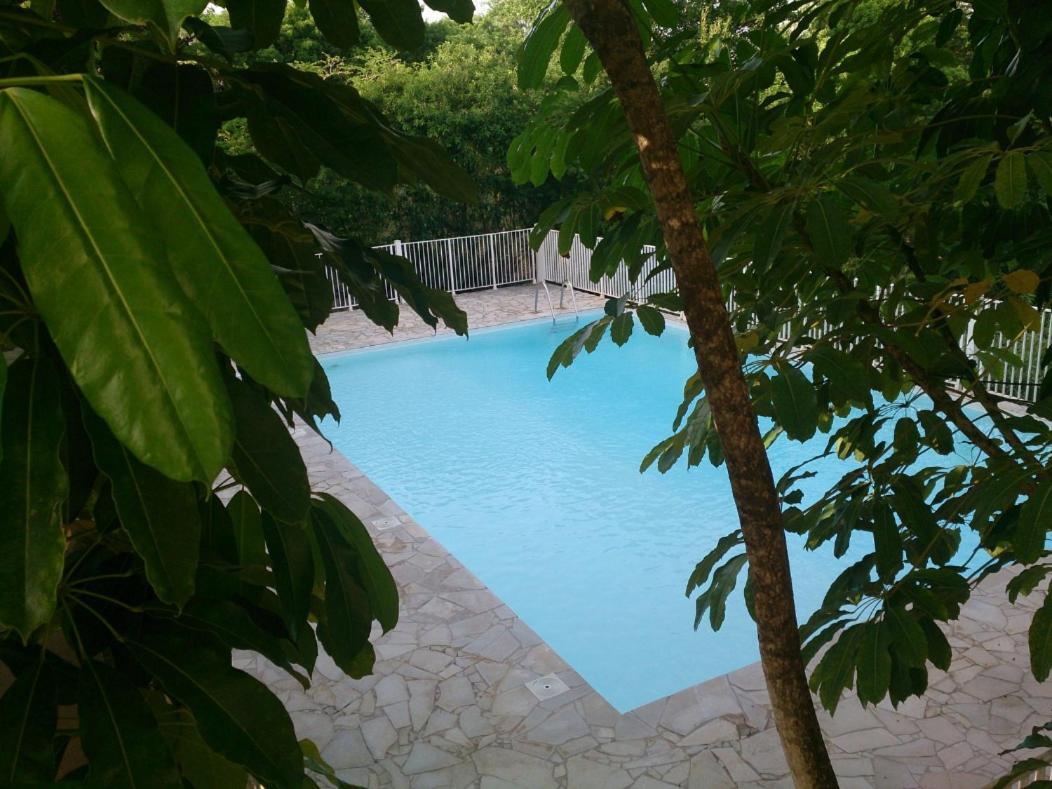 Kazadidou - Residence Grand Cap - Vue Mer Et Montagne - Piscine Ле-Гозьє Екстер'єр фото